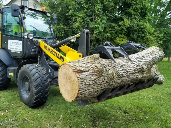 Loaing the tree logs