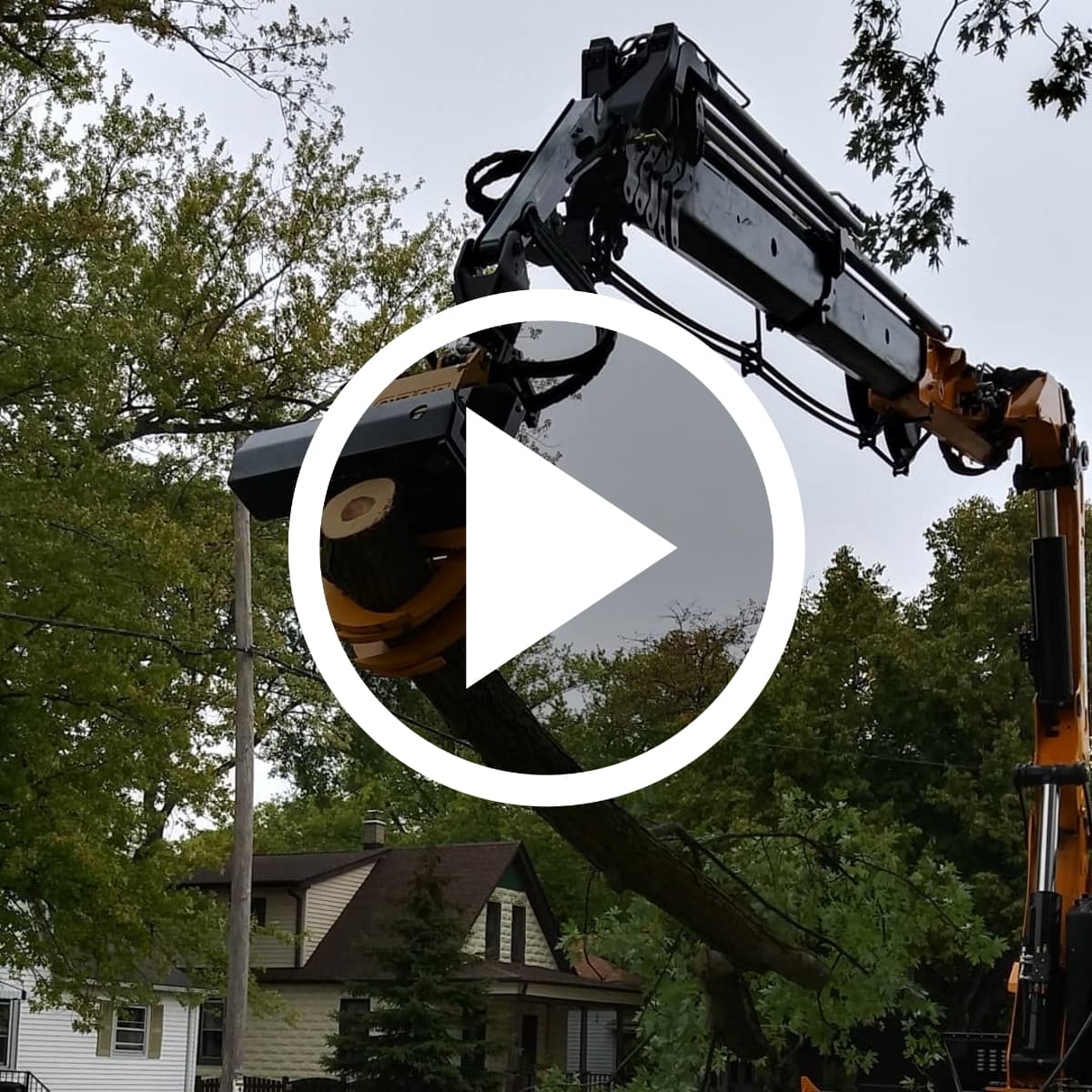 Video How we safely remove a tree in Cudahy, WI