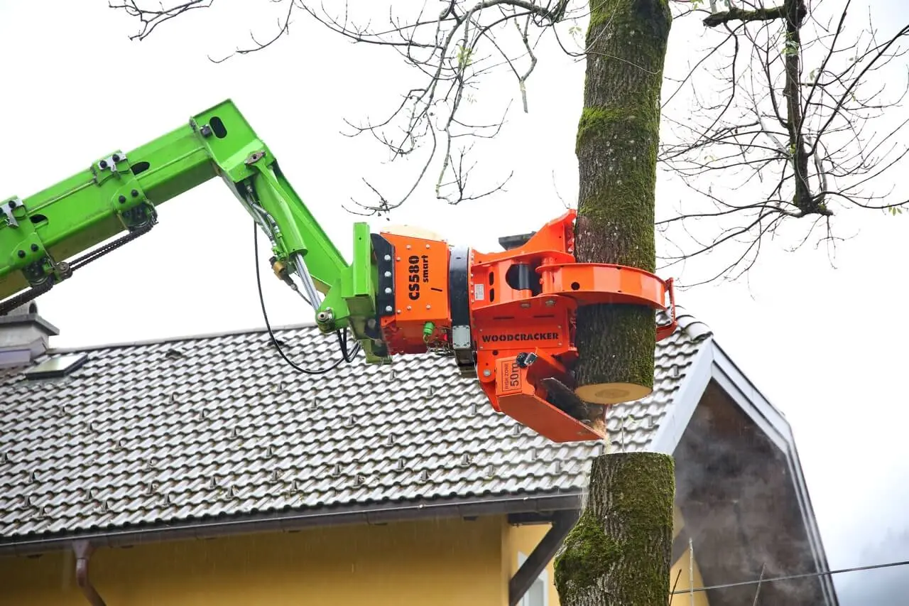 Removing a pine top with a grapple saw