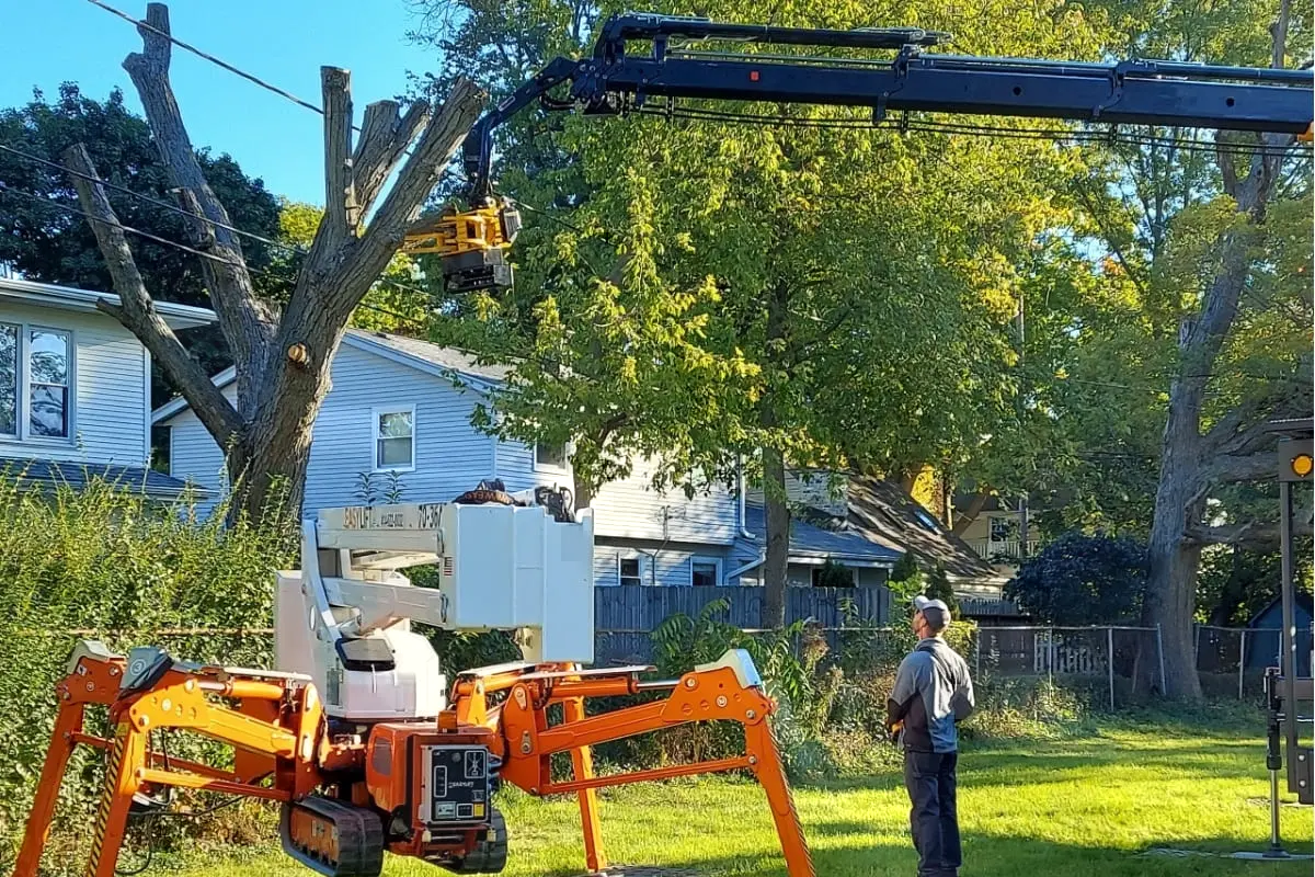 new tree service options in cudahy wi