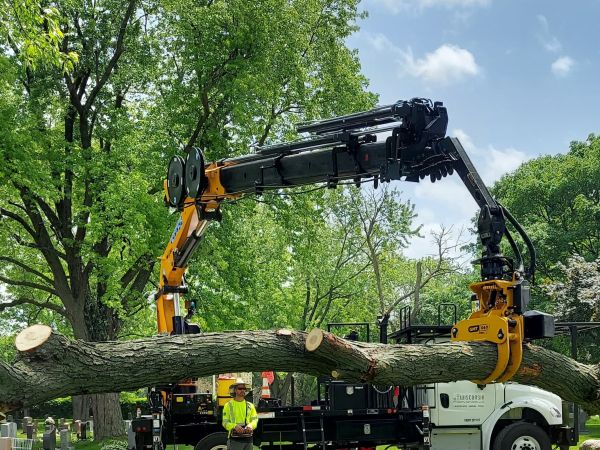  Heartland Grapple Saw Adds Height to Remote Controlled Tree Removal